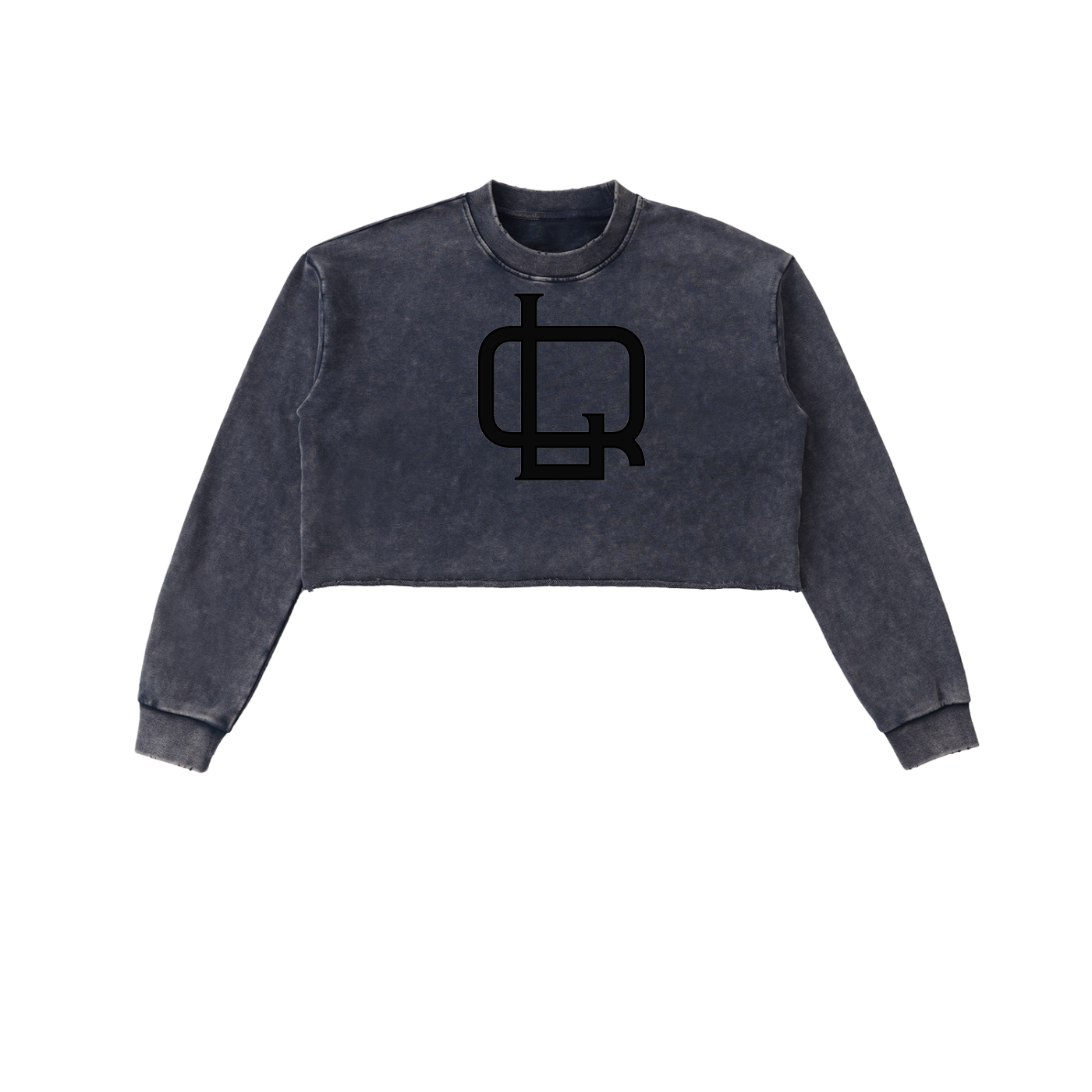 Snow Washed Raw Edge Cropped Sweatshirt