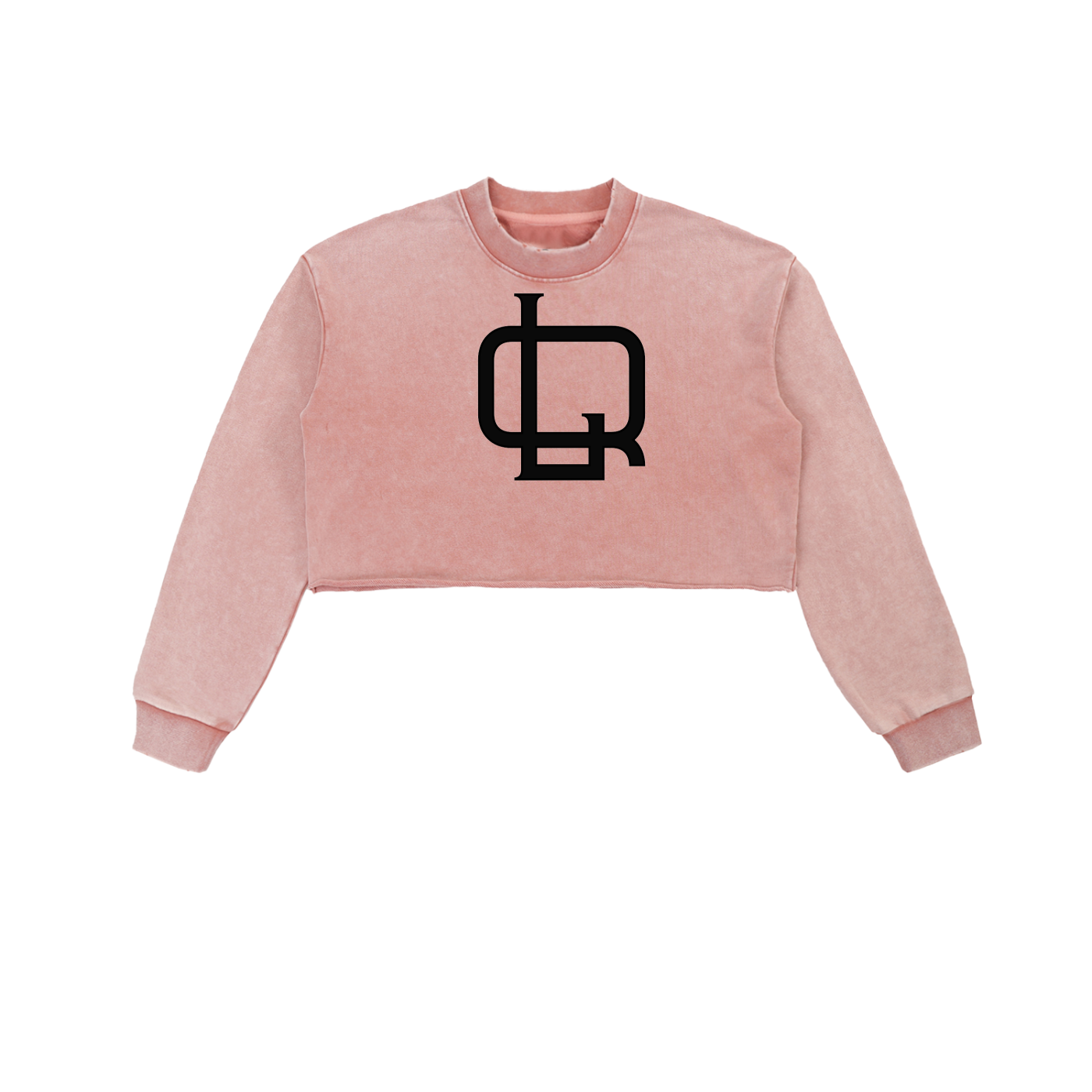 Snow Washed Raw Edge Cropped Sweatshirt