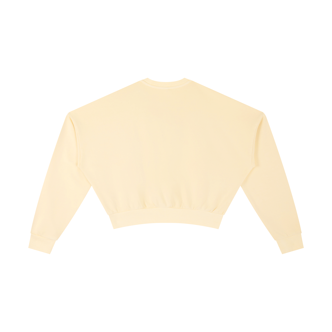 Vintage Washed Cropped Sweatshirt - LavishKings