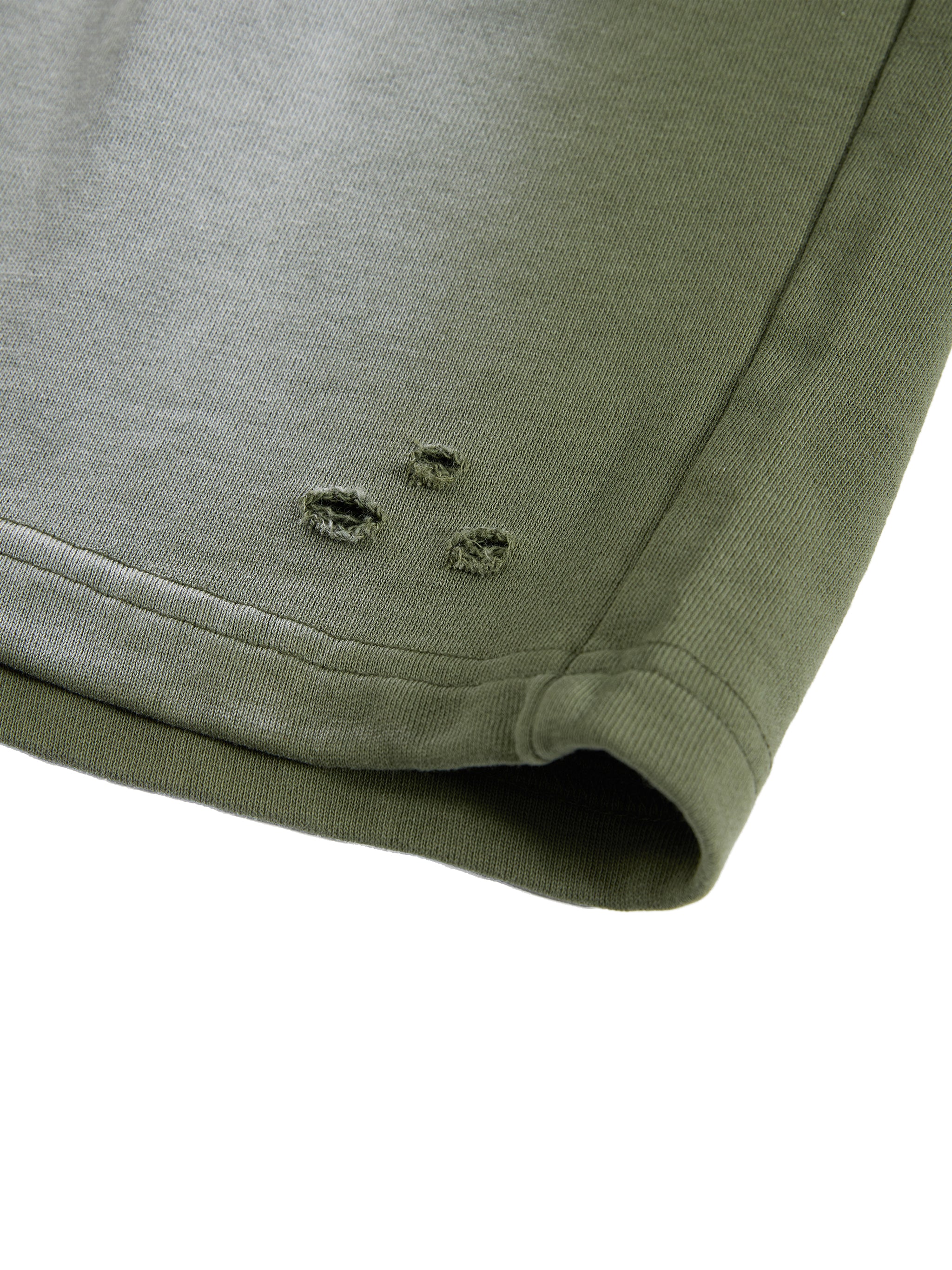 Sun Fade Distressed Shorts